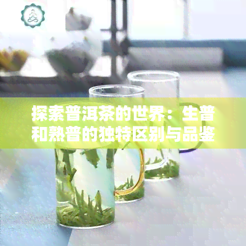 探索普洱茶的世界：生普和熟普的独特区别与品鉴方法