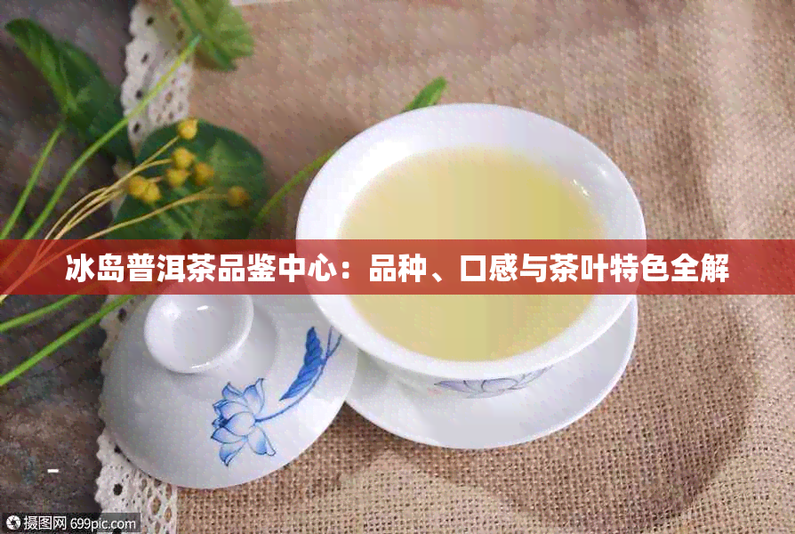 冰岛普洱茶品鉴中心：品种、口感与茶叶特色全解