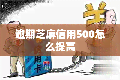 逾期芝麻信用500怎么提高