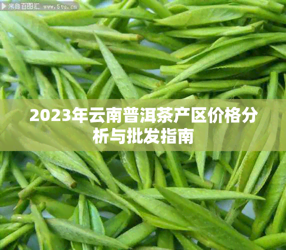 2023年云南普洱茶产区价格分析与批发指南