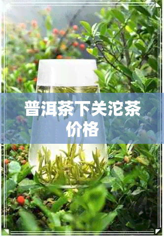 普洱茶下关沱茶价格