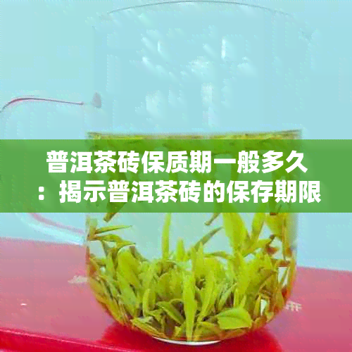 普洱茶砖保质期一般多久：揭示普洱茶砖的保存期限