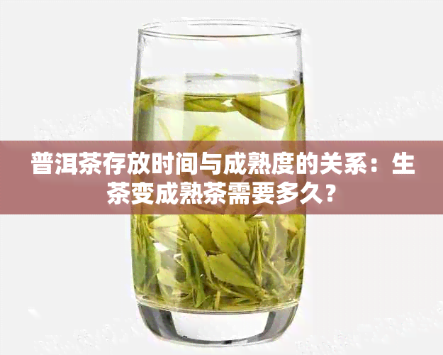 普洱茶存放时间与成熟度的关系：生茶变成熟茶需要多久？