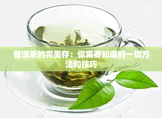 普洱茶的完美存：你需要知道的一切方法和技巧