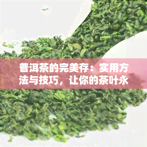 普洱茶的完美存：实用方法与技巧，让你的茶叶永葆新