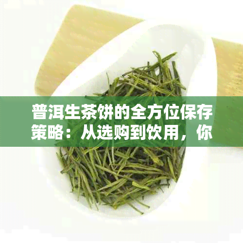 普洱生茶饼的全方位保存策略：从选购到饮用，你不可不知的方法