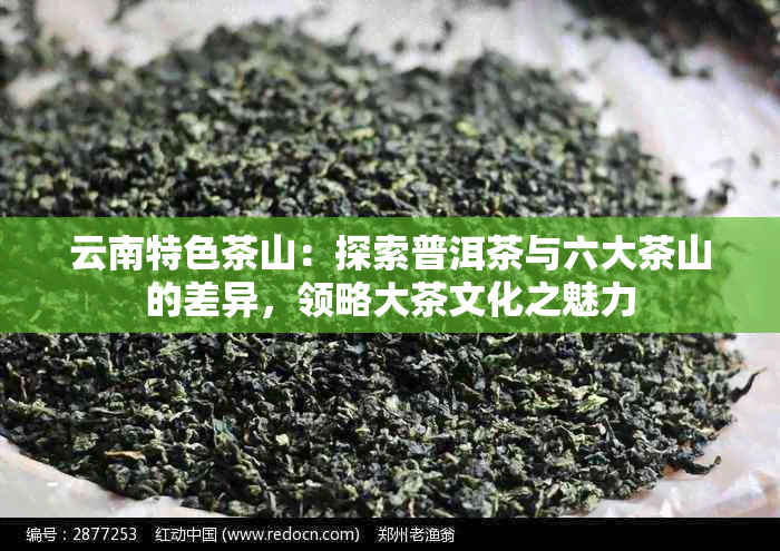 云南特色茶山：探索普洱茶与六大茶山的差异，领略大茶文化之魅力