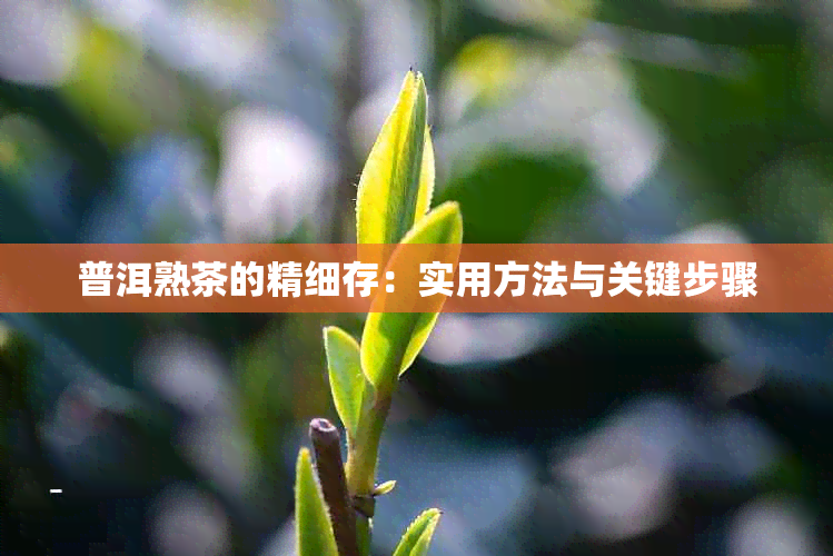 普洱熟茶的精细存：实用方法与关键步骤