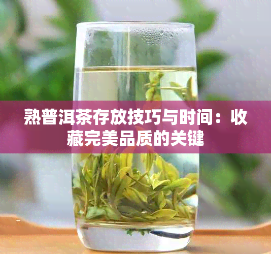 熟普洱茶存放技巧与时间：收藏完美品质的关键