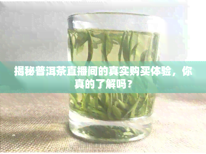 揭秘普洱茶直播间的真实购买体验，你真的了解吗？