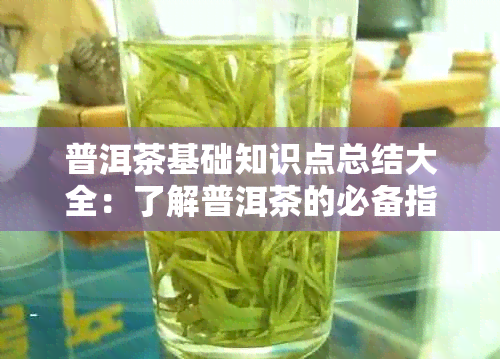 普洱茶基础知识点总结大全：了解普洱茶的必备指南