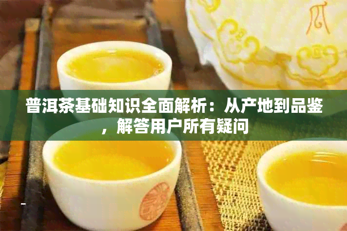 普洱茶基础知识全面解析：从产地到品鉴，解答用户所有疑问