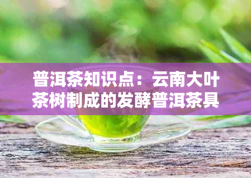 普洱茶知识点：云南大叶茶树制成的发酵普洱茶具有哪些独特特点和成分？