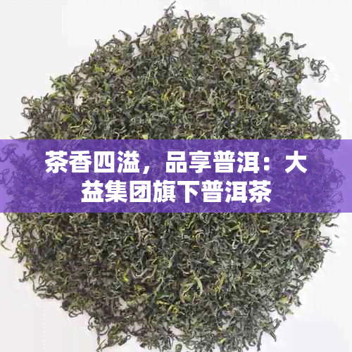 茶香四溢，品享普洱：大益集团旗下普洱茶