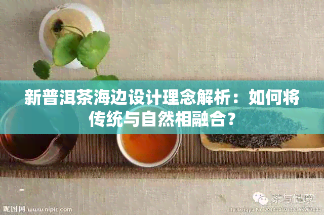 新普洱茶海边设计理念解析：如何将传统与自然相融合？