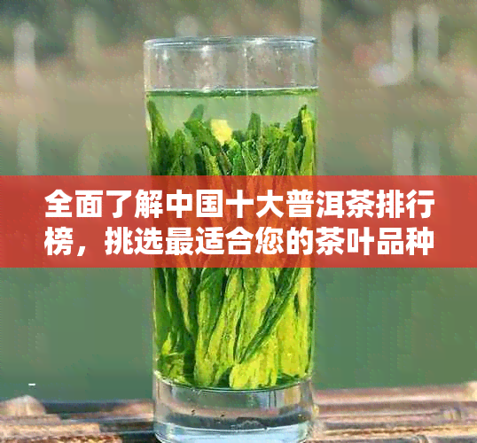 全面了解中国十大普洱茶排行榜，挑选最适合您的茶叶品种和品质