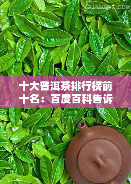 十大普洱茶排行榜前十名：百度百科告诉你答案