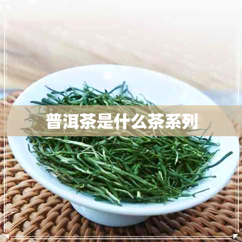 普洱茶是什么茶系列