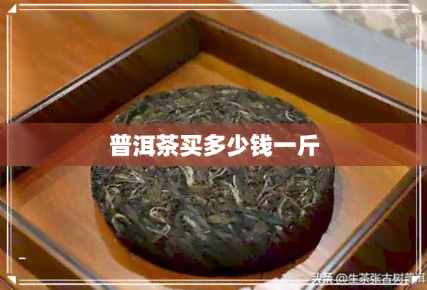 普洱茶买多少钱一斤