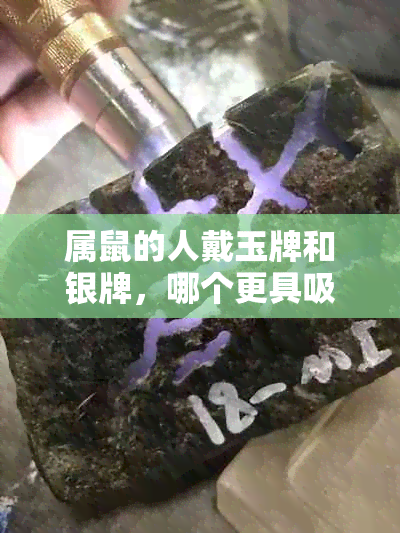 属鼠的人戴玉牌和银牌，哪个更具吸引力？