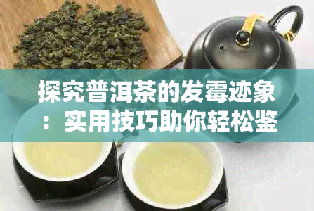 探究普洱茶的发霉迹象：实用技巧助你轻松鉴别