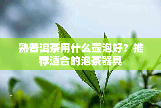 熟普洱茶用什么壶泡好？推荐适合的泡茶器具