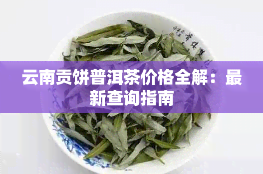 云南贡饼普洱茶价格全解：最新查询指南