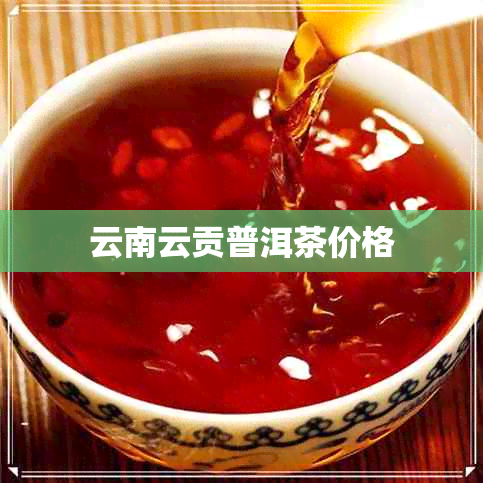 云南云贡普洱茶价格