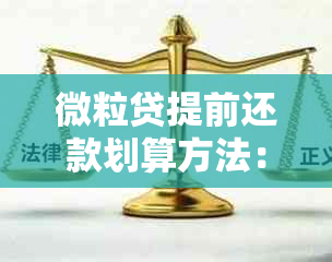 微粒贷提前还款划算方法：如何避免额外费用，了解提前还款后果