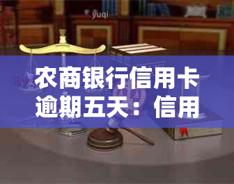 农商银行信用卡逾期五天：信用记录受损与贷款审批受影响