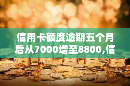 信用卡额度逾期五个月后从7000增至8800,信用处理成为关键