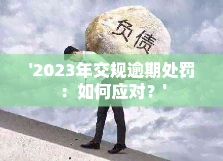 '2023年交规逾期处罚：如何应对？'