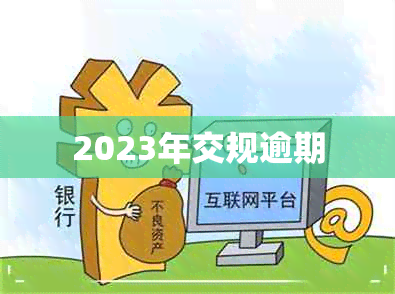 2023年交规逾期