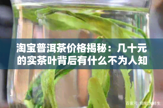 淘宝普洱茶价格揭秘：几十元的实茶叶背后有什么不为人知的原因？