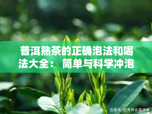 普洱熟茶的正确泡法和喝法大全： 简单与科学冲泡全解析