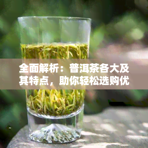 全面解析：普洱茶各大及其特点，助你轻松选购优质普洱茶