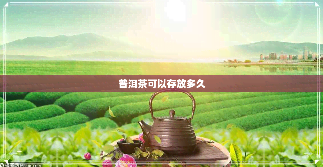 普洱茶可以存放多久