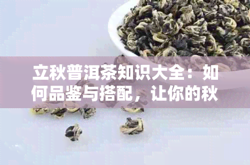 立秋普洱茶知识大全：如何品鉴与搭配，让你的秋天更美好