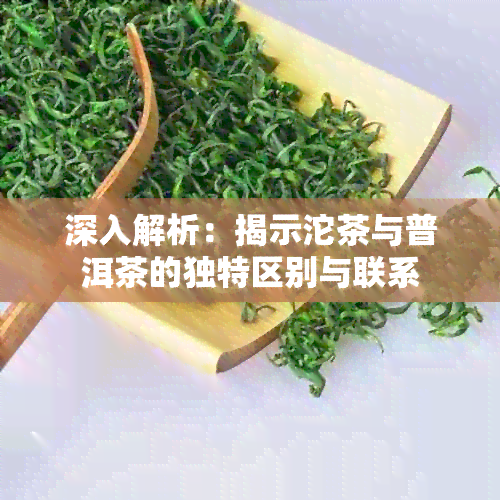 深入解析：揭示沱茶与普洱茶的独特区别与联系