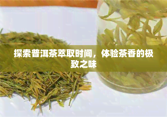 探索普洱茶萃取时间，体验茶香的极致之味