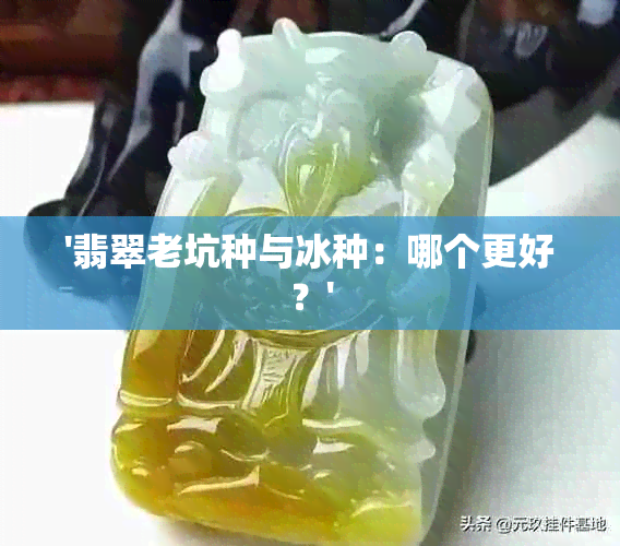 '翡翠老坑种与冰种：哪个更好？'