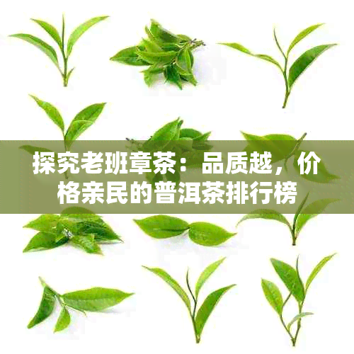 探究老班章茶：品质越，价格亲民的普洱茶排行榜