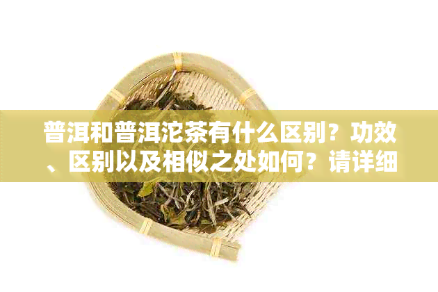 普洱和普洱沱茶有什么区别？功效、区别以及相似之处如何？请详细解释。