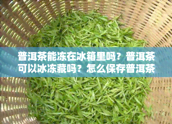 普洱茶能冻在冰箱里吗？普洱茶可以冰冻藏吗？怎么保存普洱茶？