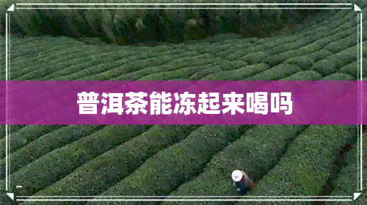 普洱茶能冻起来喝吗