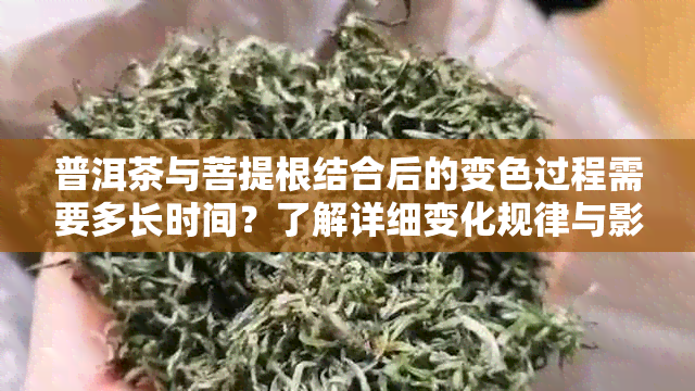 普洱茶与菩提根结合后的变色过程需要多长时间？了解详细变化规律与影响因素