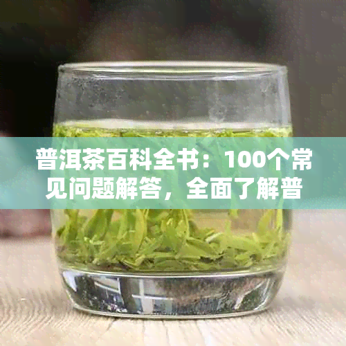 普洱茶百科全书：100个常见问题解答，全面了解普洱茶的方方面面