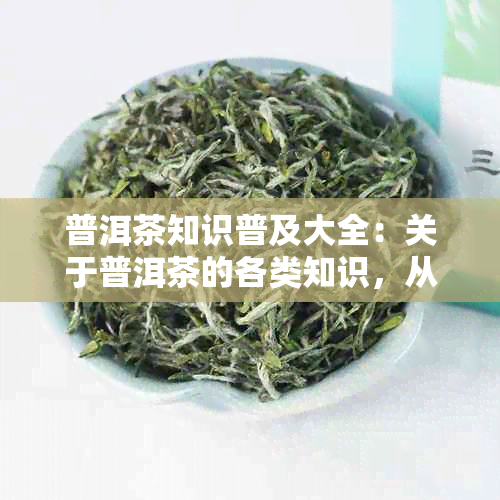 普洱茶知识普及大全：关于普洱茶的各类知识，从入门到深究