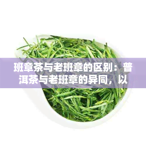 班章茶与老班章的区别：普洱茶与老班章的异同，以及两者之间的关系