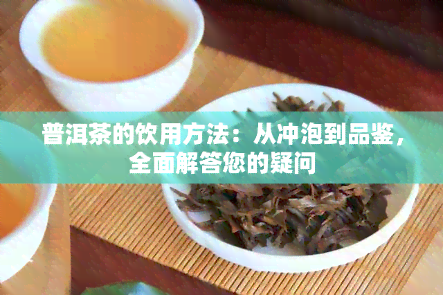 普洱茶的饮用方法：从冲泡到品鉴，全面解答您的疑问